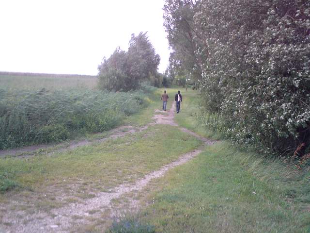 img00890.jpg