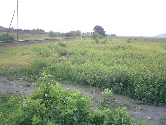 img00891.jpg