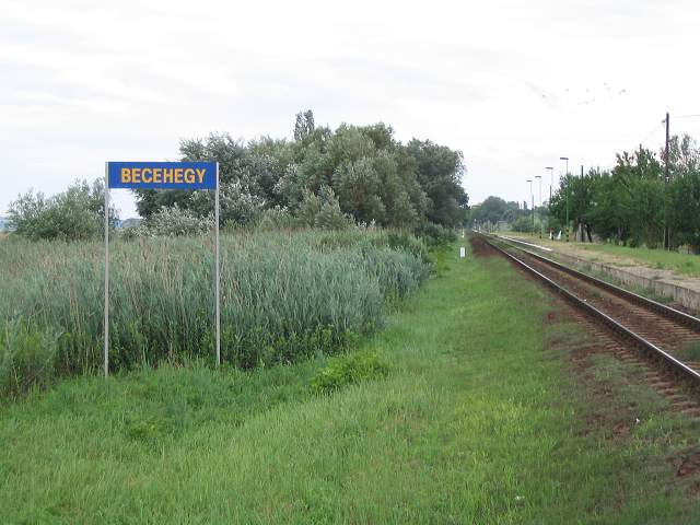 img00892.jpg