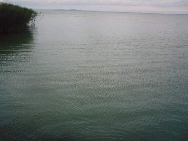 img00893.jpg