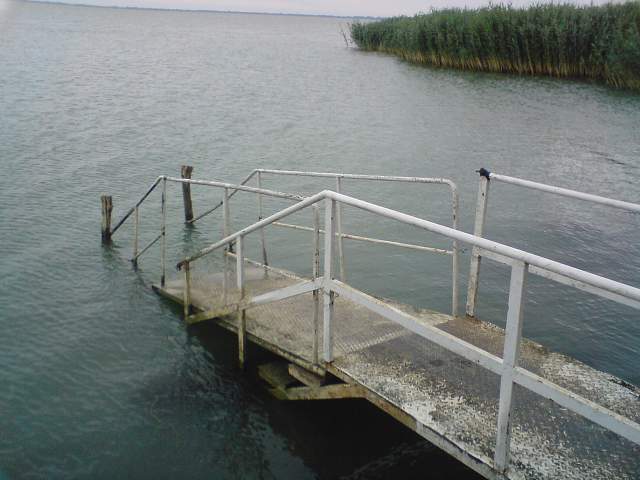 img00894.jpg