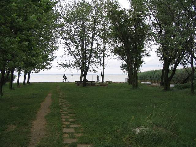 img00895.jpg