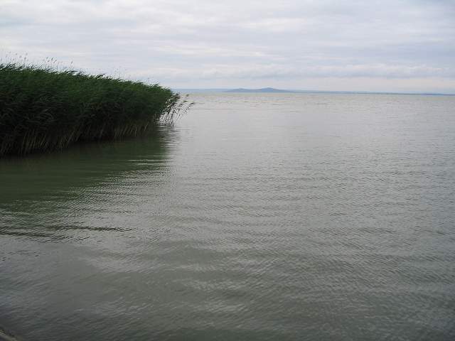 img00900.jpg