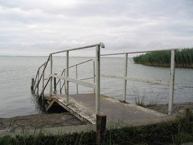 img00903.jpg