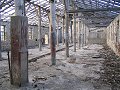 thn00463.jpg