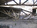 thn00479.jpg