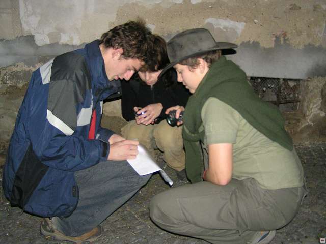 img00019.jpg