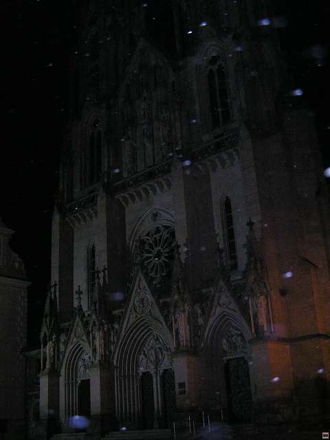 img00028.jpg