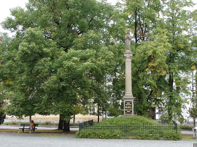 img00010.jpg