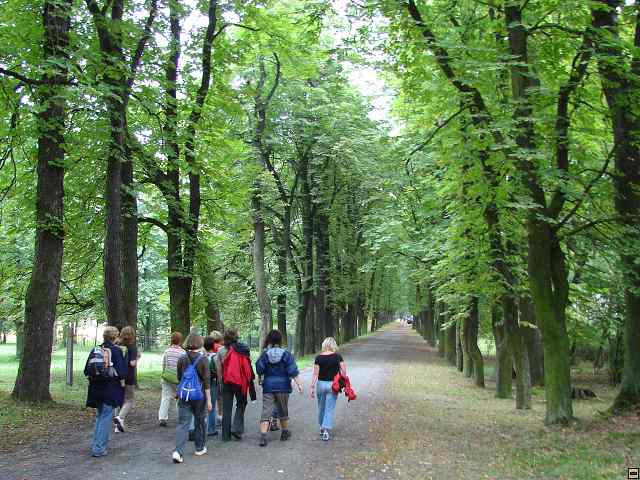 img00028.jpg