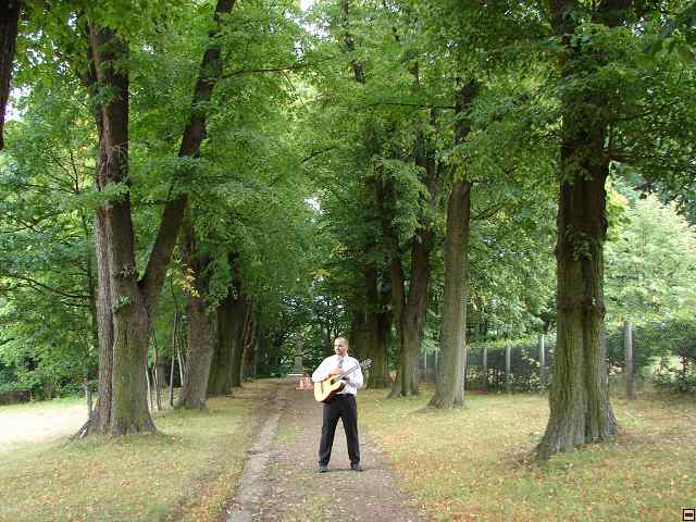img00031.jpg