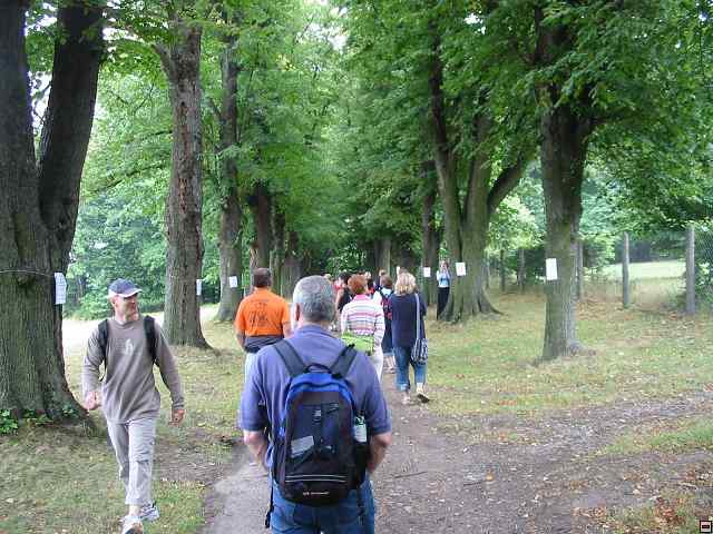 img00035.jpg
