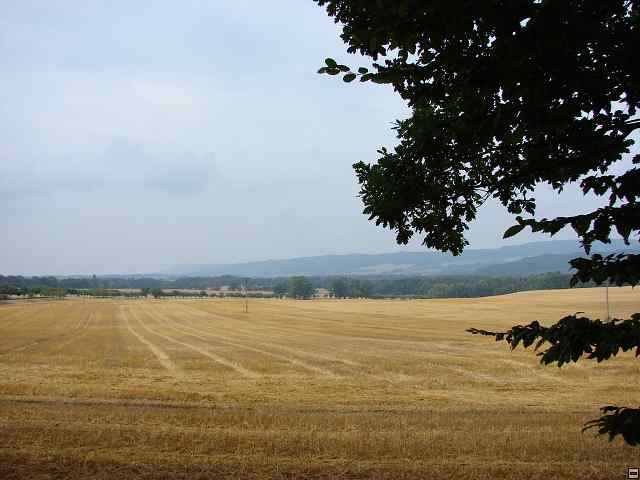 img00039.jpg