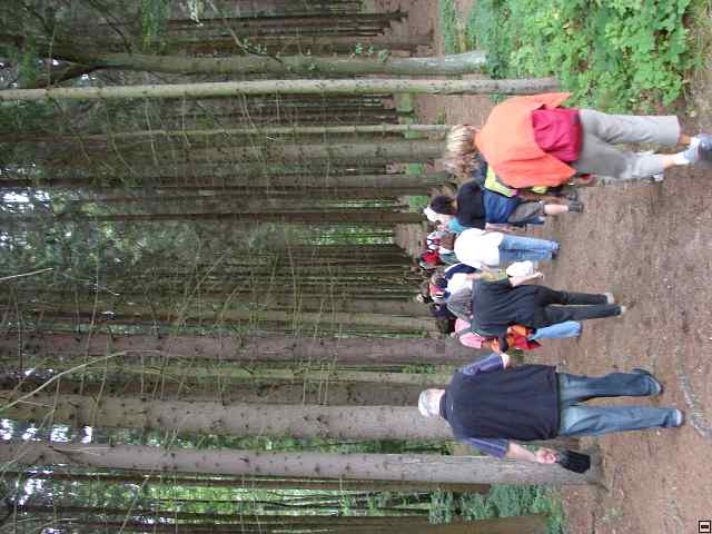 img00048.jpg