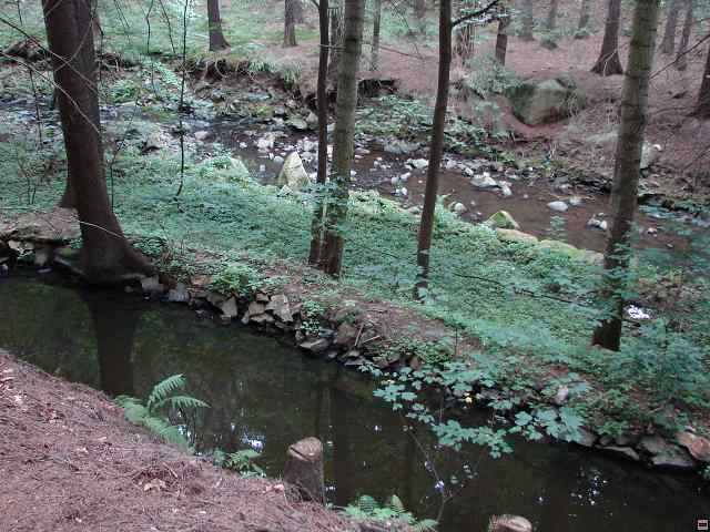 img00049.jpg