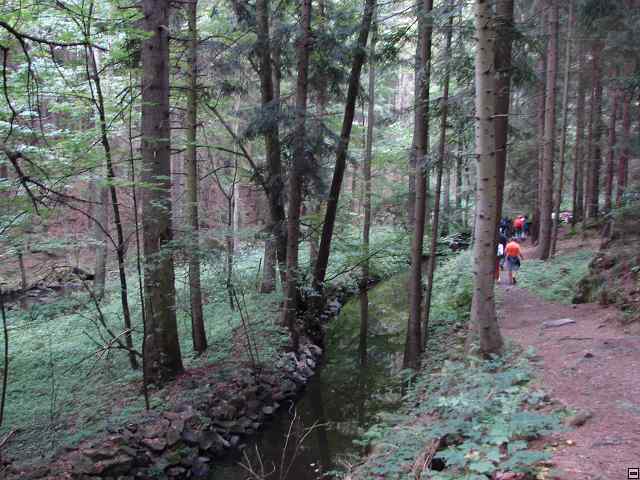 img00050.jpg