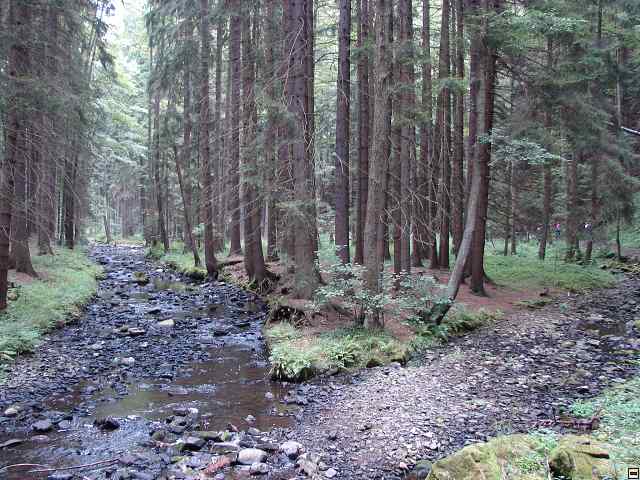 img00053.jpg
