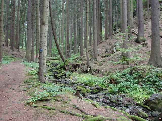 img00054.jpg