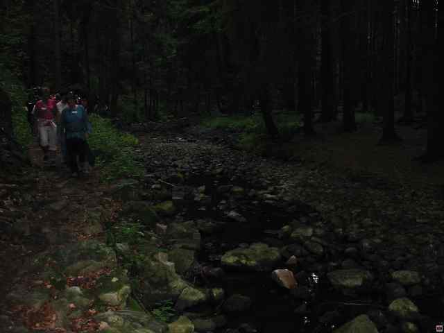img00055.jpg