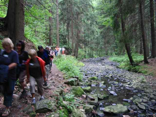 img00056.jpg