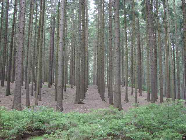img00066.jpg