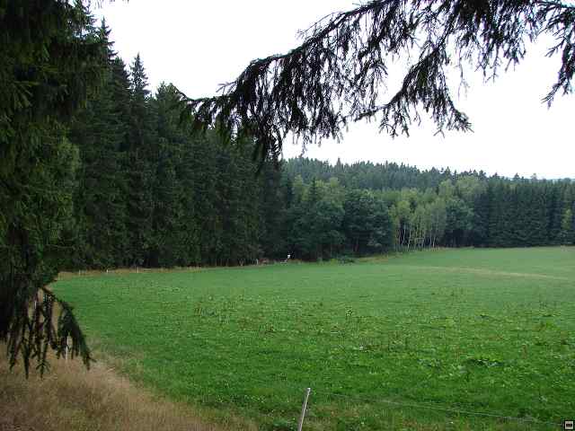 img00114.jpg
