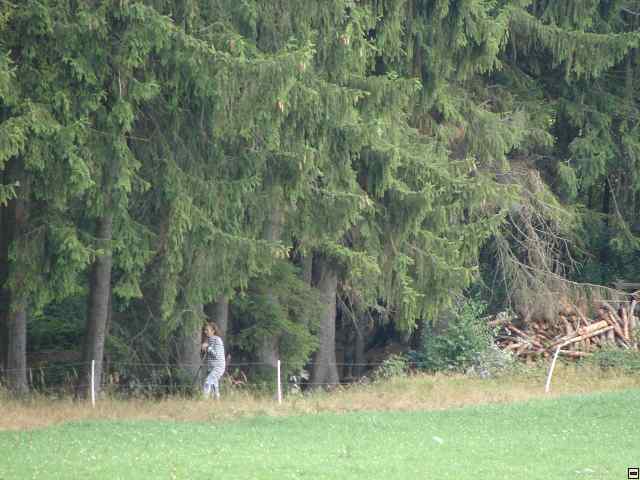 img00115.jpg