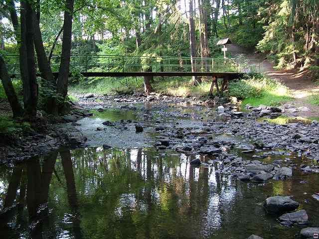 img00119.jpg