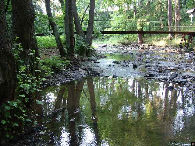 img00120.jpg
