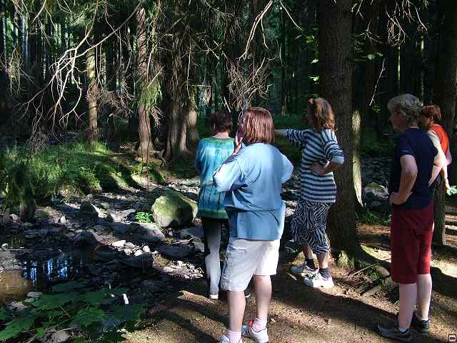 img00124.jpg
