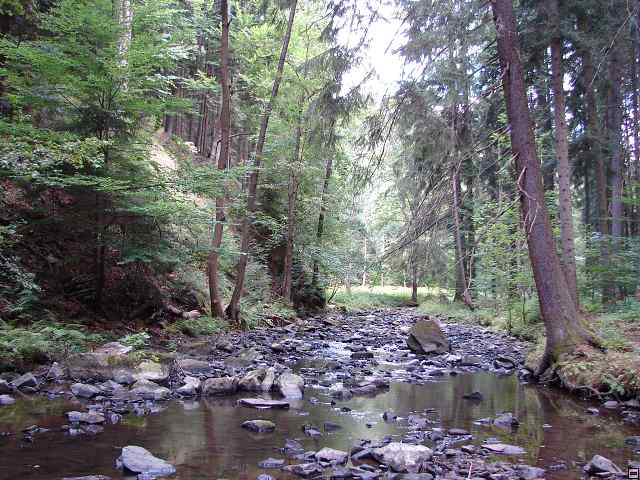 img00136.jpg