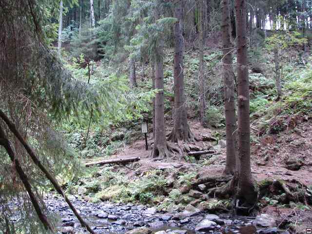 img00141.jpg
