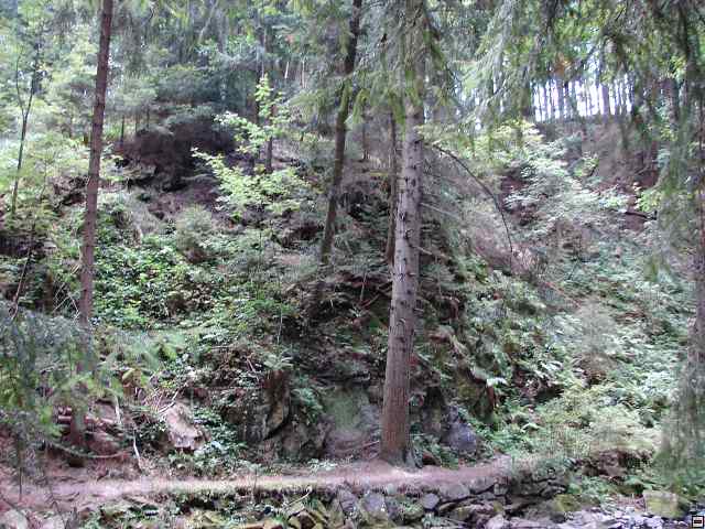 img00142.jpg