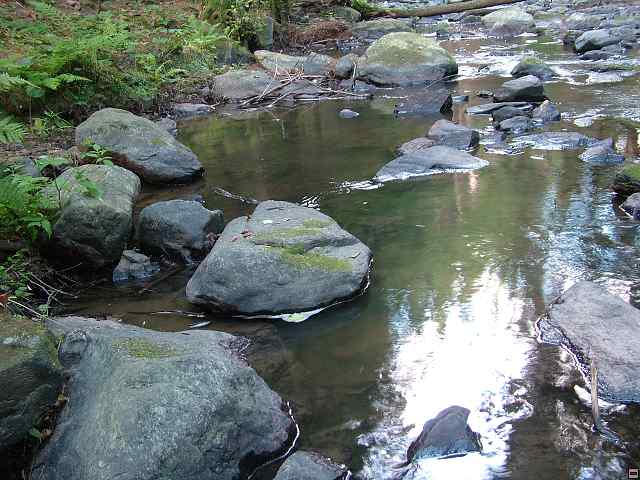 img00147.jpg