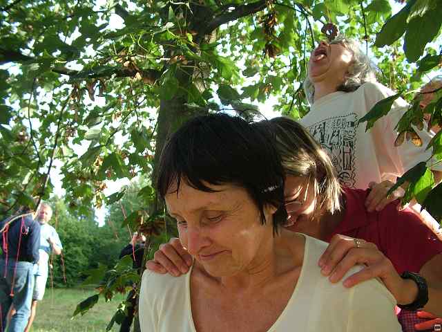 img00148.jpg