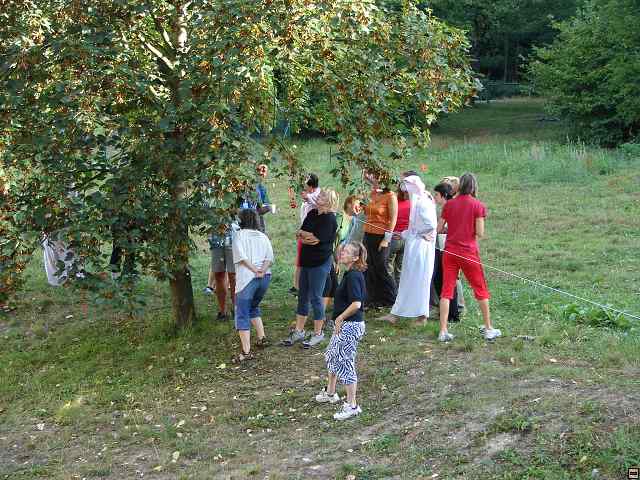 img00151.jpg