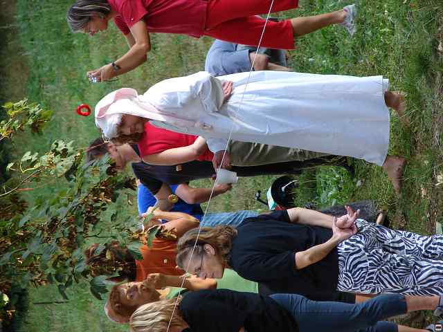 img00152.jpg