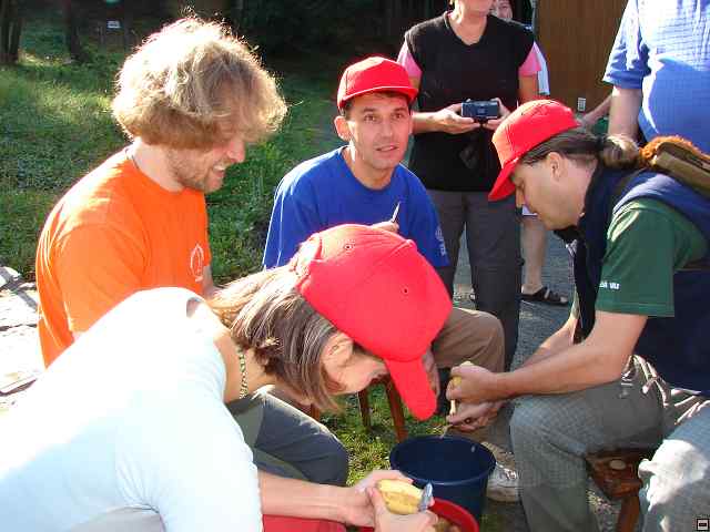 img00210.jpg