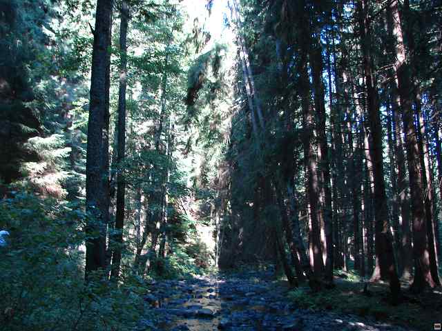 img00286.jpg