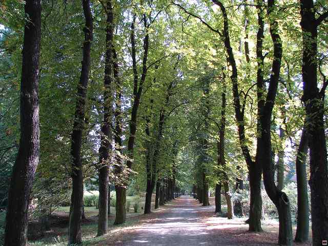 img00294.jpg