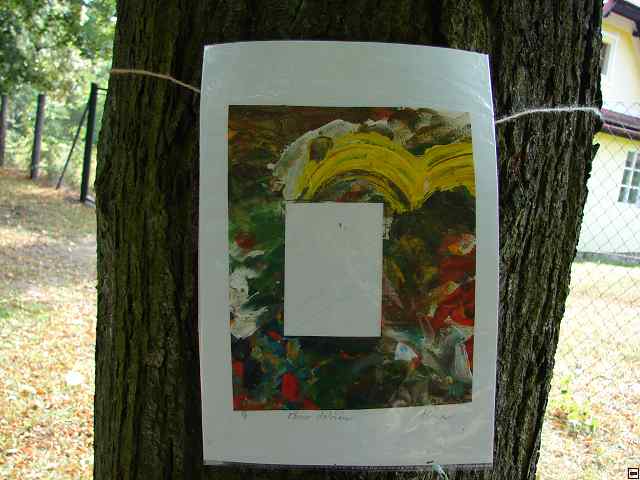 img00296.jpg