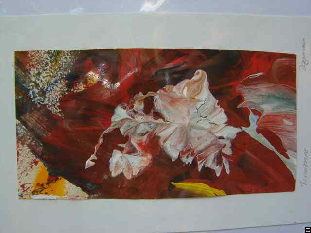 img00297.jpg