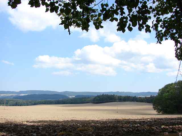 img00311.jpg