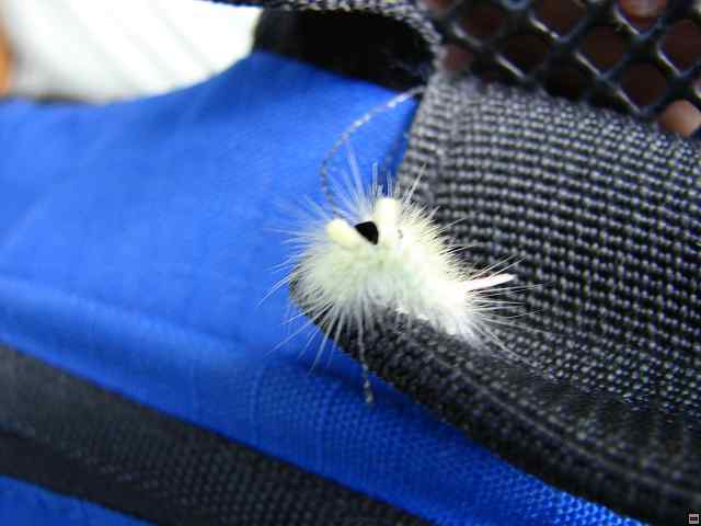 img00323.jpg