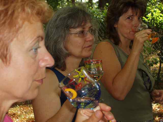 img00345.jpg
