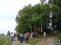 thn00044.jpg