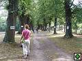 thn00331.jpg