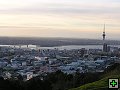 thn_P6110109.jpg