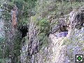 thn_P6130140.jpg