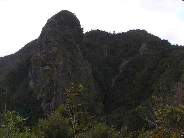 P6160237.jpg